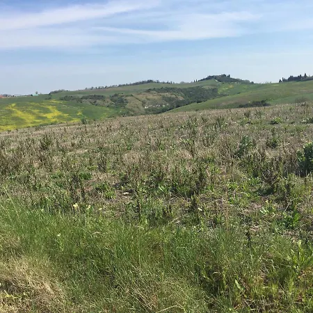 Cordella In Valdorcia Truffle And Olive Oil Montalcino