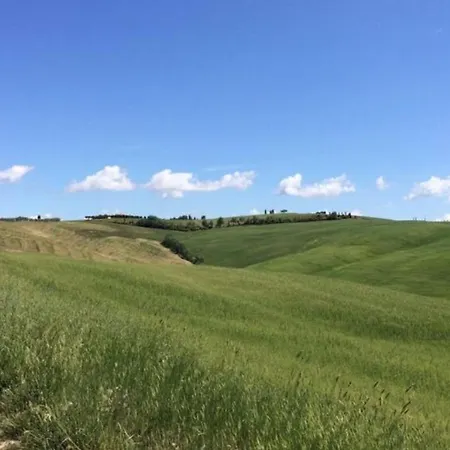 Cordella In Valdorcia Truffle And Olive Oil * Montalcino