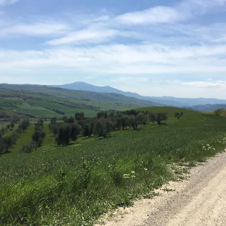 Cordella In Valdorcia Truffle And Olive Oil Resort Montalcino