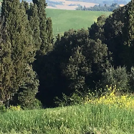 Cordella In Valdorcia Truffle And Olive Oil Montalcino